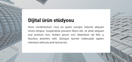 Dijital Ürün Stüdyosu - HTML Sayfası Şablonu