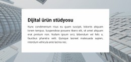 Dijital Ürün Stüdyosu - Ücretsiz Web Sitesi Tasarımı