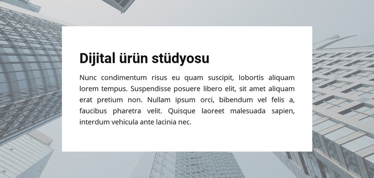 Dijital Ürün Stüdyosu Web sitesi tasarımı