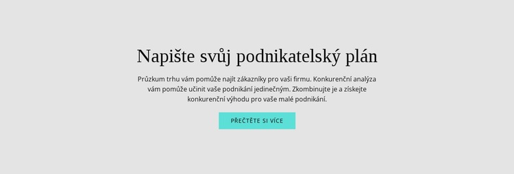 Text o podnikatelském plánu Šablona