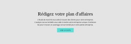 Texte Sur Le Plan D'Affaires