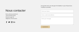 Coordonnées Et Formulaire De Contact - Modèle De Site Web Professionnel
