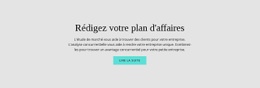 Texte Sur Le Plan D'Affaires - Modèle Professionnel Personnalisable D'Une Page