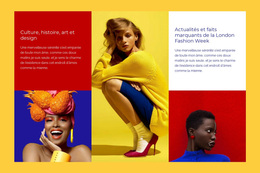 Thème WordPress Gratuit Pour Couleurs Contrastées Mode