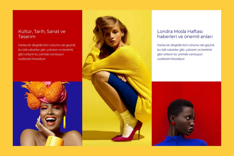 Kontrast renkler moda WordPress Teması