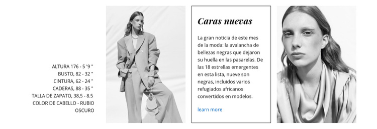 Los rostros de la moda Tema de WordPress