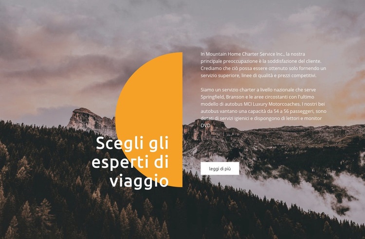 Esperti di viaggio Mockup del sito web