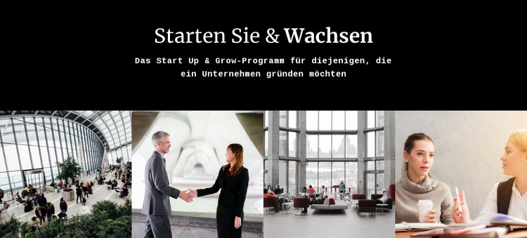 Starten Sie und wachsen Sie Website-Modell