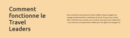 Travel Leaders Travaille - Maquette Filaire