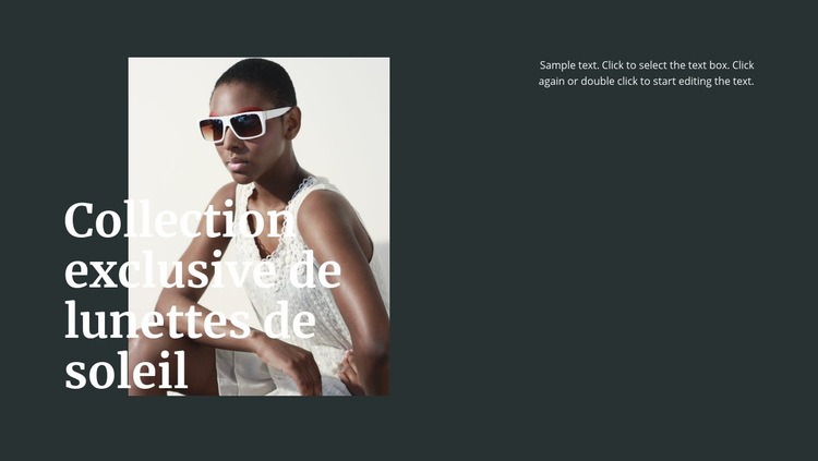 Différentes lunettes de soleil Maquette de site Web