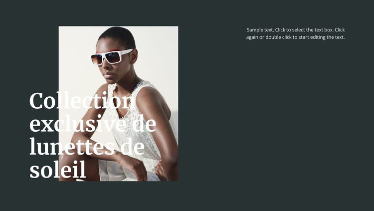 Différentes lunettes de soleil Modèle de site Web