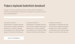 Specifické Dovednosti – Responzivní Téma WordPress