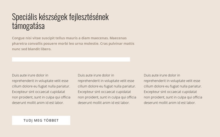 Specifikus készségek WordPress Téma