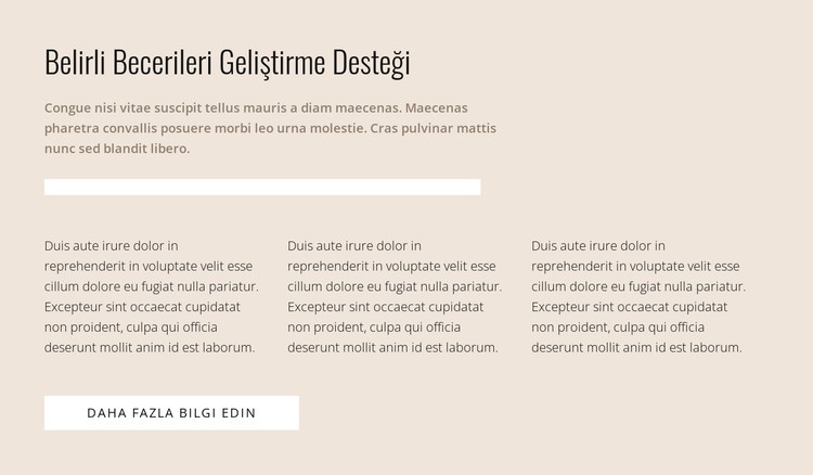 Özel beceriler CSS Şablonu