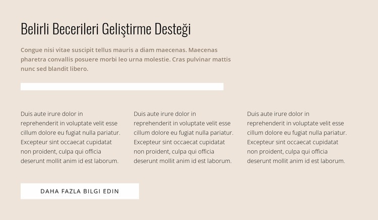 Özel beceriler Html Web Sitesi Oluşturucu