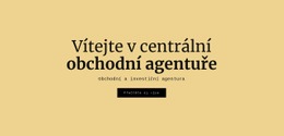 Centrální Obchodní Agentura – Profesionální Šablona Webu