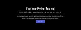 Text About Festival Ecommerce Website
