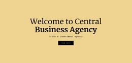 Central Business Agency Ecommerce Website