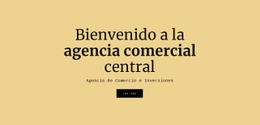 Agencia Comercial Central - Diseño De Sitios Web