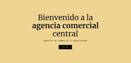 Agencia Comercial Central Sitio Web De Comercio Electrónico