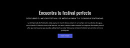 Texto Sobre Festival - Tema Personalizado De WordPress