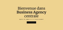Agence Commerciale Centrale - Conception Professionnelle Personnalisable