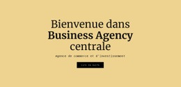 Agence Commerciale Centrale - Conception De Sites Web