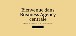 Agence Commerciale Centrale Site Web De Commerce Électronique