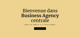 Agence Commerciale Centrale – Modèle De Site Web HTML