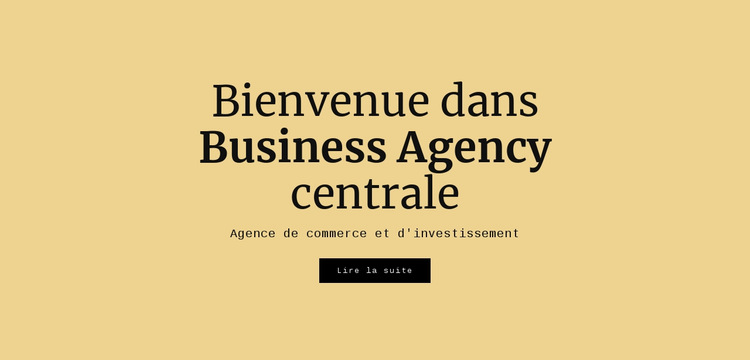 Agence commerciale centrale Modèle de site Web