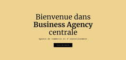 Agence Commerciale Centrale - Thème WordPress Premium