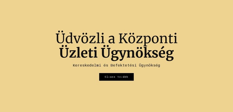 Központi üzleti ügynökség HTML Sablon