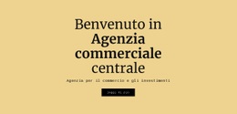 Agenzia D'Affari Centrale - Progettazione Di Siti Web