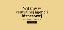 Centralna Agencja Biznesowa - Konfigurowalny, Profesjonalny Projekt