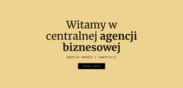 Centralna Agencja Biznesowa - Profesjonalny Szablon Strony Internetowej
