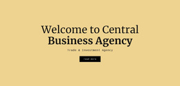 Central Business Agency - Website Design