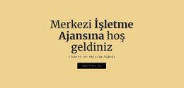 Merkezi Iş Ajansı