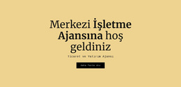 Merkezi Iş Ajansı - Premium WordPress Teması