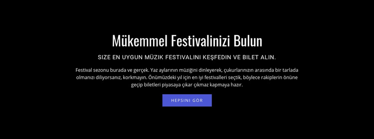 Festival hakkında metin WordPress Teması