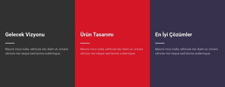 Düz Metin Web sitesi tasarımı