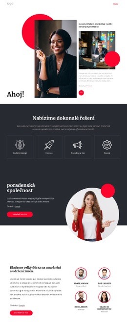 Poradenská Společnost NYC – Prémiový Motiv WordPress