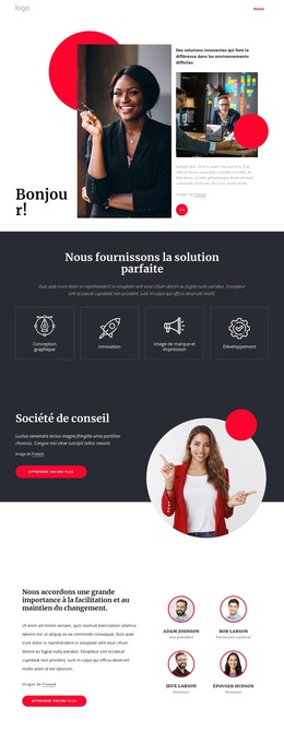 Société De Conseil NYC - Thème WordPress Premium