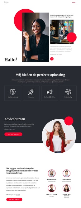 Adviesbureau NYC - Premium WordPress-Thema