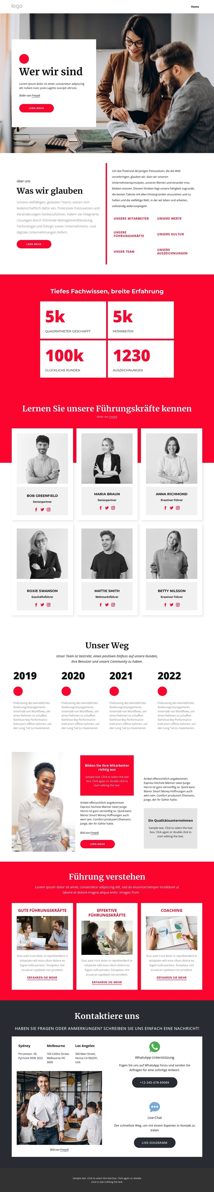 Über unser Beratungsunternehmen WordPress-Theme