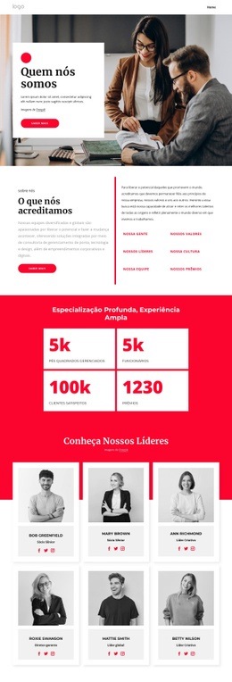 Construtor De Sites Exclusivo Para Sobre Nossa Consultoria