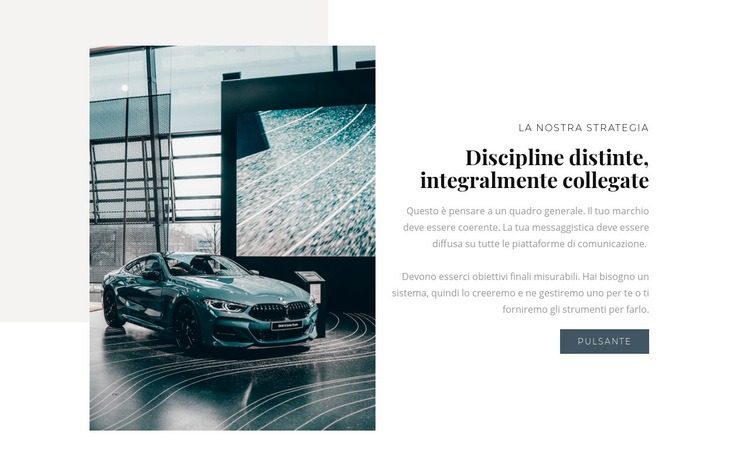 Discipline distinte, integralmente collegate Modello