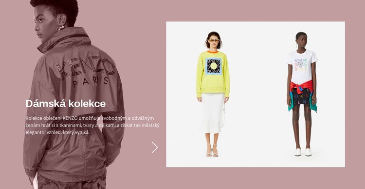 Kolekce dámské módy Webový design
