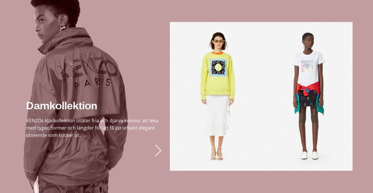 Kvinnors modekollektion HTML-mall