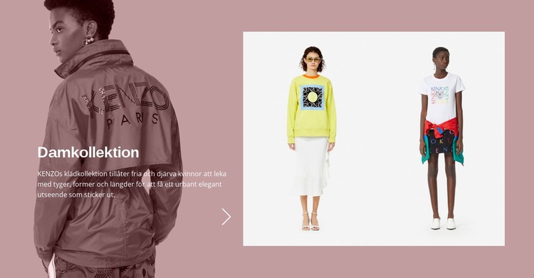 Kvinnors modekollektion Webbplats mall