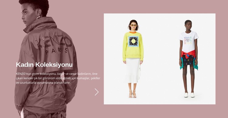 Kadının moda koleksiyonu CSS Şablonu